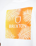 Brixton Alpha Square S/S T-Shirt - White / Palm Gradient
