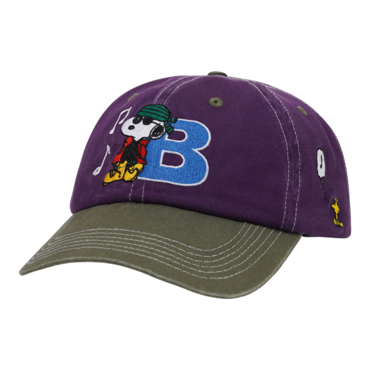 Butter Goods - Music Snapback Cap - Washed Purple / Fern