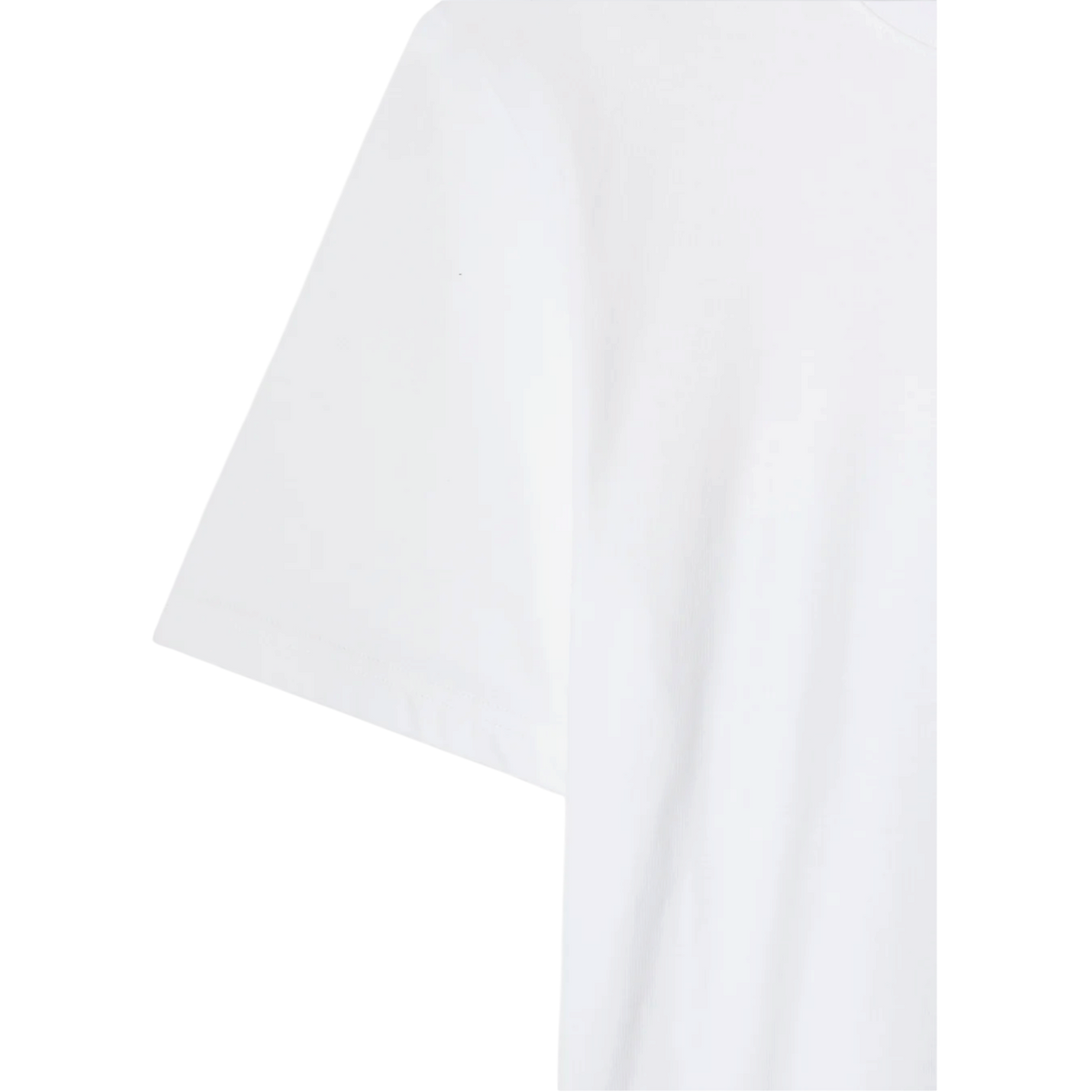 Stan Ray Paint Something T-Shirt - White