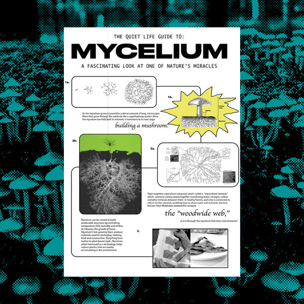 The Quiet Life - Mycelium - Premium T - Tie Dye