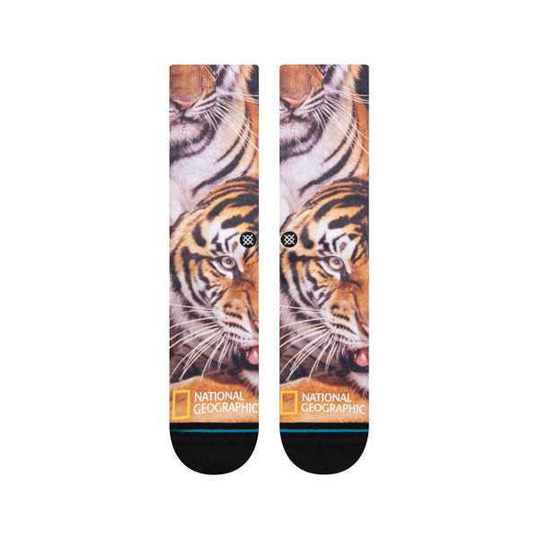Stance - Two Tigers
