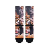 Stance - Two Tigers