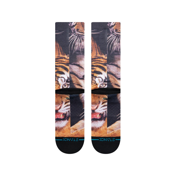 Stance - Two Tigers