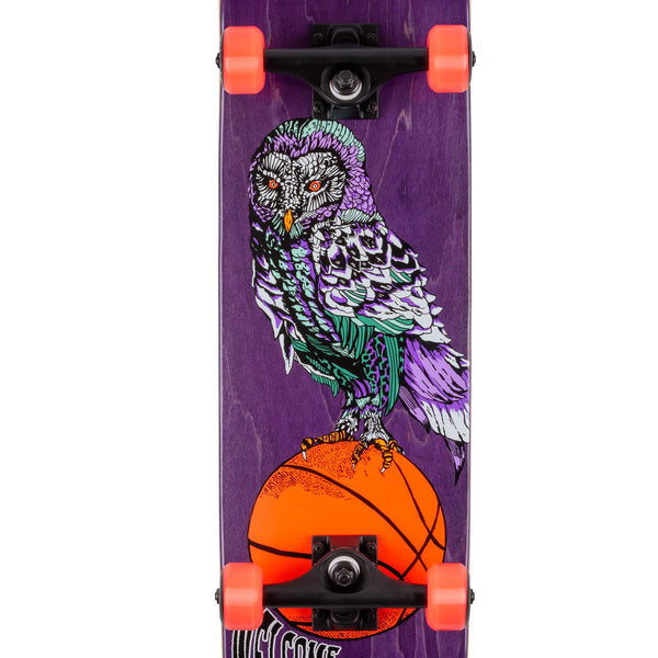 Welcome - Hooter Shooter Complete (Purple Stain) 8.0"